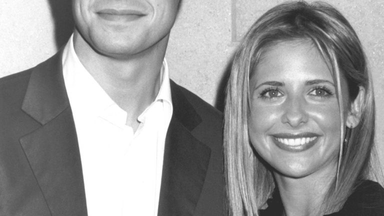 Refreshed Thrill Awaits: Freddie Prinze Jr. in The Girl in the Pool