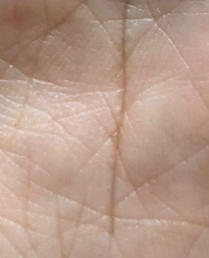 cropped_image-1346