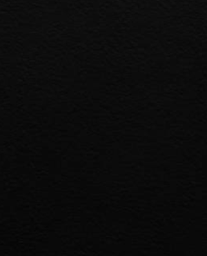 cropped_image-795