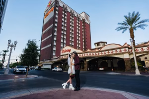 Sara Belus - Gallery Image 8