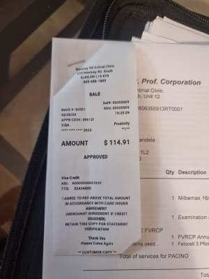 Avik Mandal - Project Casting Gallery Image 2 Avik Mandal - Gallery Image 2