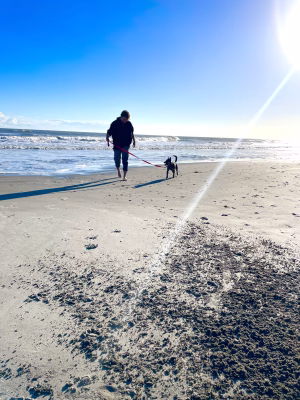 Luke Macvaugh - Gallery Image 16