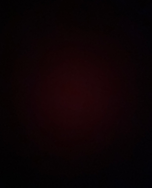 Bruce Wayne - Profile Photo