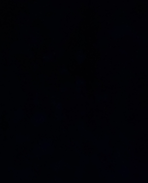 cropped_image-1116
