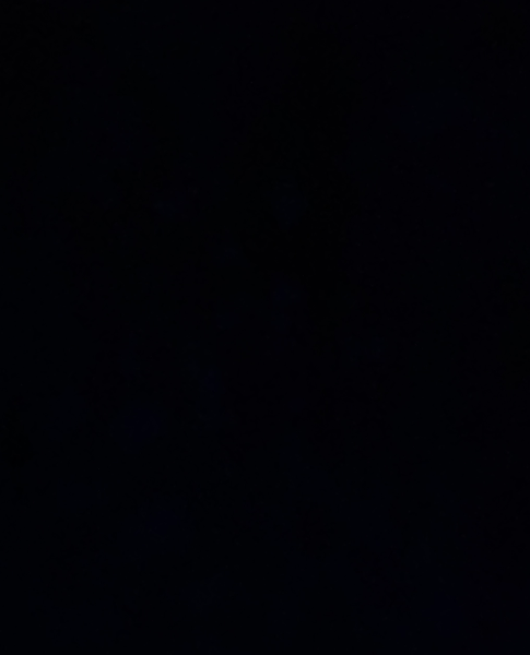 David Nazarenko - Profile Photo