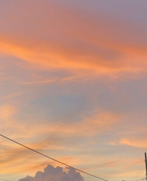 cropped_image-1263