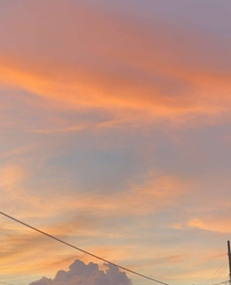 cropped_image-1263