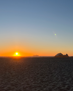 cropped_image-349