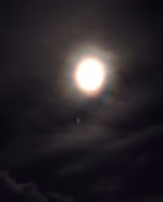 cropped_image-1580