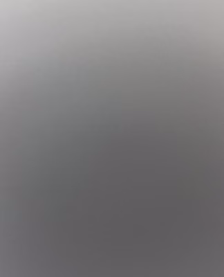cropped_image-1370