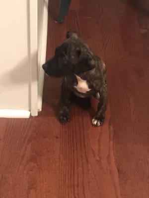 aaliyahh  Inthavongas - Gallery Image 1