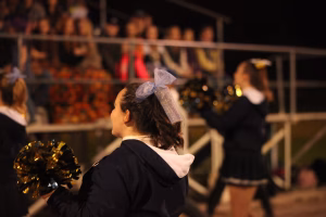 Adrianna Ericksen - Project Casting Gallery Image 39 Adrianna Ericksen - Gallery Image 39