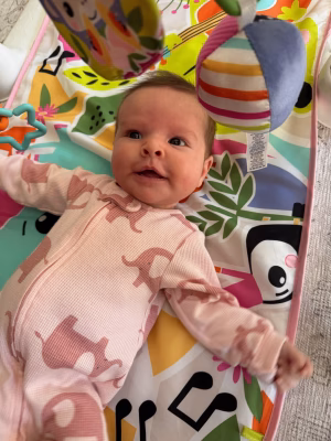 Tulsi Buddig - Gallery Image 1