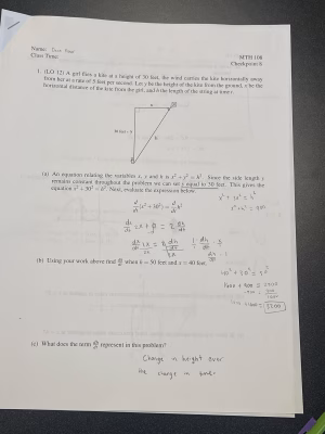 Dana Fisher - Gallery Image 1