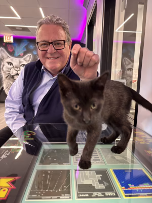 Tony Smaniotto - Project Casting Gallery Image 8 Tony Smaniotto - Gallery Image 8