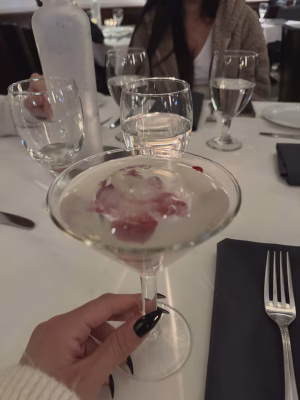 Ariela Nemirovski - Project Casting Gallery Image 5 Ariela Nemirovski - Gallery Image 5