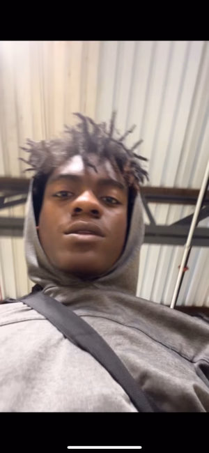 Julius Stephenson - Gallery Image 1