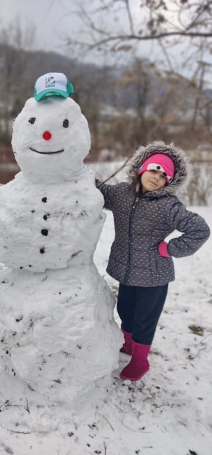 Sky Hedge - Gallery Image 4