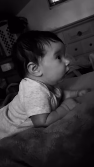 Evelyn McNamee-Barron - Gallery Image 4