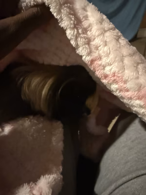 Passion Bazin - Project Casting Gallery Image 15 Passion Bazin - Gallery Image 15