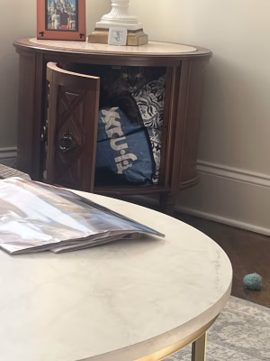 Angelina DiTommaso - Gallery Image 6