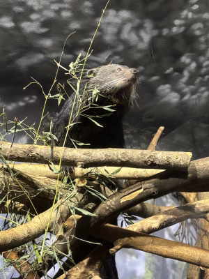 Lydia Crowder - Gallery Image 6