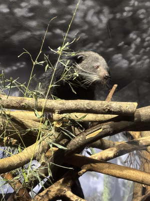 Lydia Crowder - Gallery Image 5