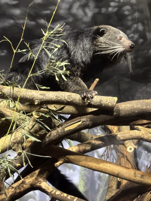 Lydia Crowder - Gallery Image 4