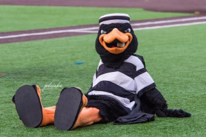 Sam Weston - Gallery Image 5