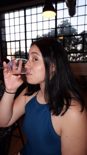 karina recinos - Project Casting Gallery Image 1 karina recinos - Gallery Image 1