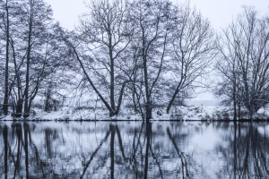 Adéla Hejduková - Gallery Image 6