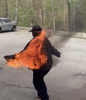 Sarah Fields - Project Casting Gallery Image 6 Sarah Fields - Gallery Image 6