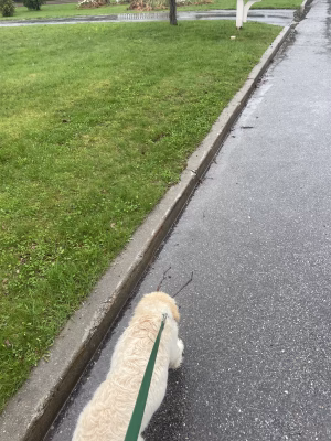 Jacob Delphin - Gallery Image 6