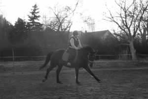 Adéla Hejduková - Gallery Image 5