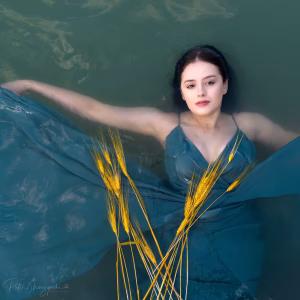 Amber Baum - Gallery Image 1