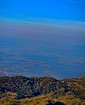 cropped_image-1988