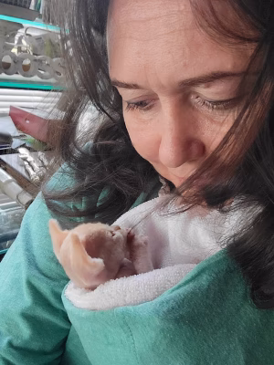 Marina Bukshteyn - Gallery Image 6