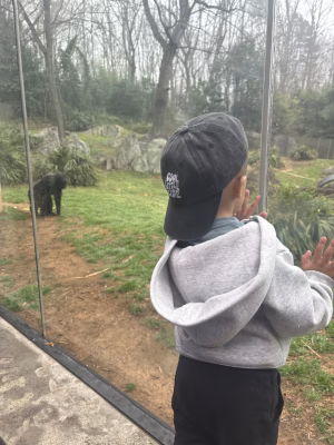 Kirstie Martin - Gallery Image 18