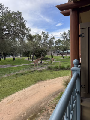 Megan Kissel - Gallery Image 14