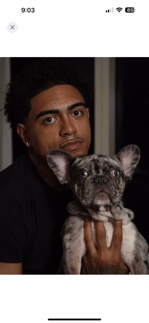 Allen  Choy - Project Casting Gallery Image 10 Allen  Choy - Gallery Image 10