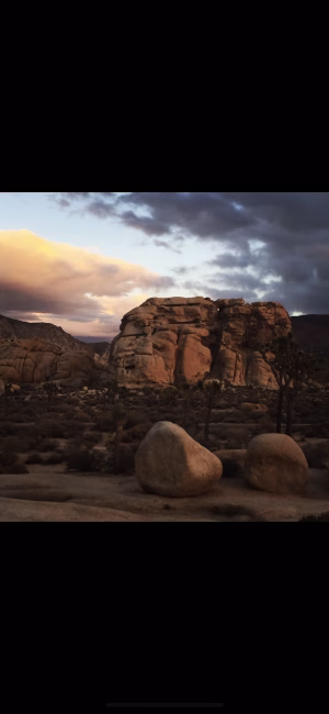 Ben Miller - Project Casting Gallery Image 13 Ben Miller - Gallery Image 13