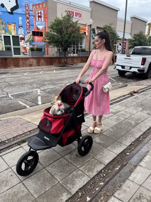 Anne-Marie Root - Project Casting Gallery Image 5 Anne-Marie Root - Gallery Image 5