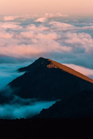 Tannya Cai - Gallery Image 5