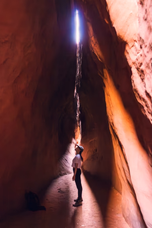 Tannya Cai - Gallery Image 4