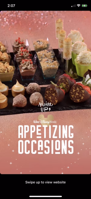 Lauren Scarborough - Gallery Image 12