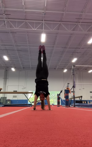 Jami Sims - Project Casting Gallery Image 1 Jami Sims - Gallery Image 1