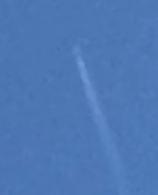 cropped_image-1600