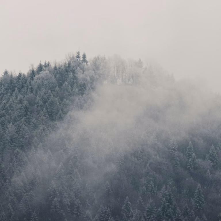 Apple TV’s “PARALLAX” Open Casting Call