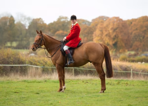 Jeremy Gumbley - Gallery Image 11