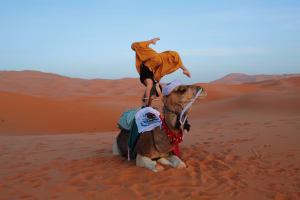 Jessica Cipres - Project Casting Gallery Image 3 Jessica Cipres - Gallery Image 3